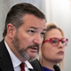 Image for article titled Ted Cruz Does One Reasonable Thing